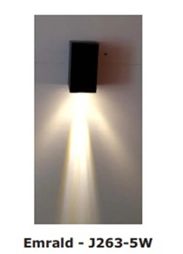 Led Down Wall Light